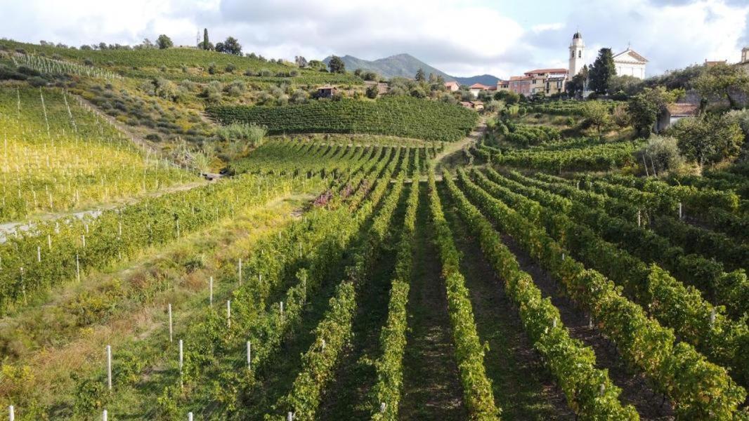 Al Vigneto Apartment Sestri Levante Bagian luar foto
