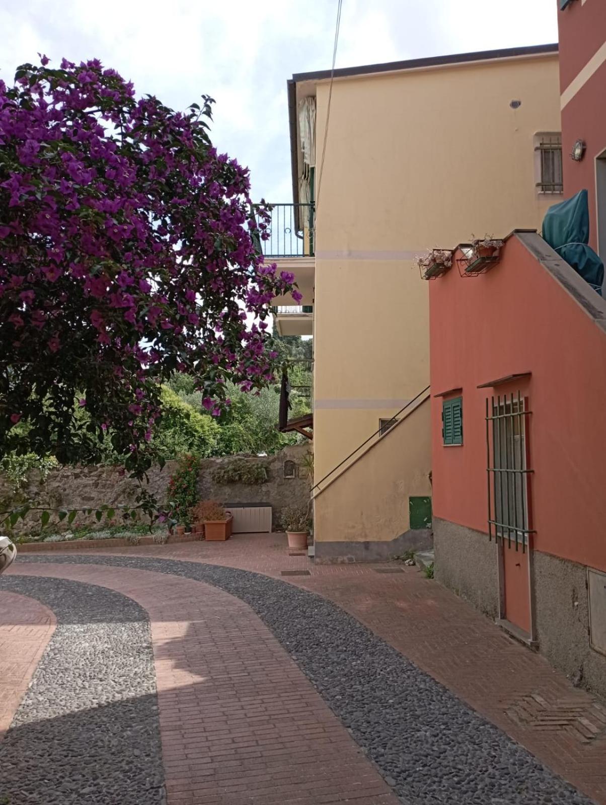 Al Vigneto Apartment Sestri Levante Bagian luar foto
